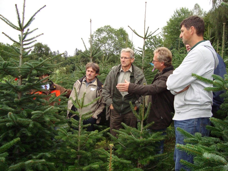 Fortbildung im Sinne des steirischen Pflanzenschutzmittelgesetzes: Schwerpunkt Christbaumproduktion