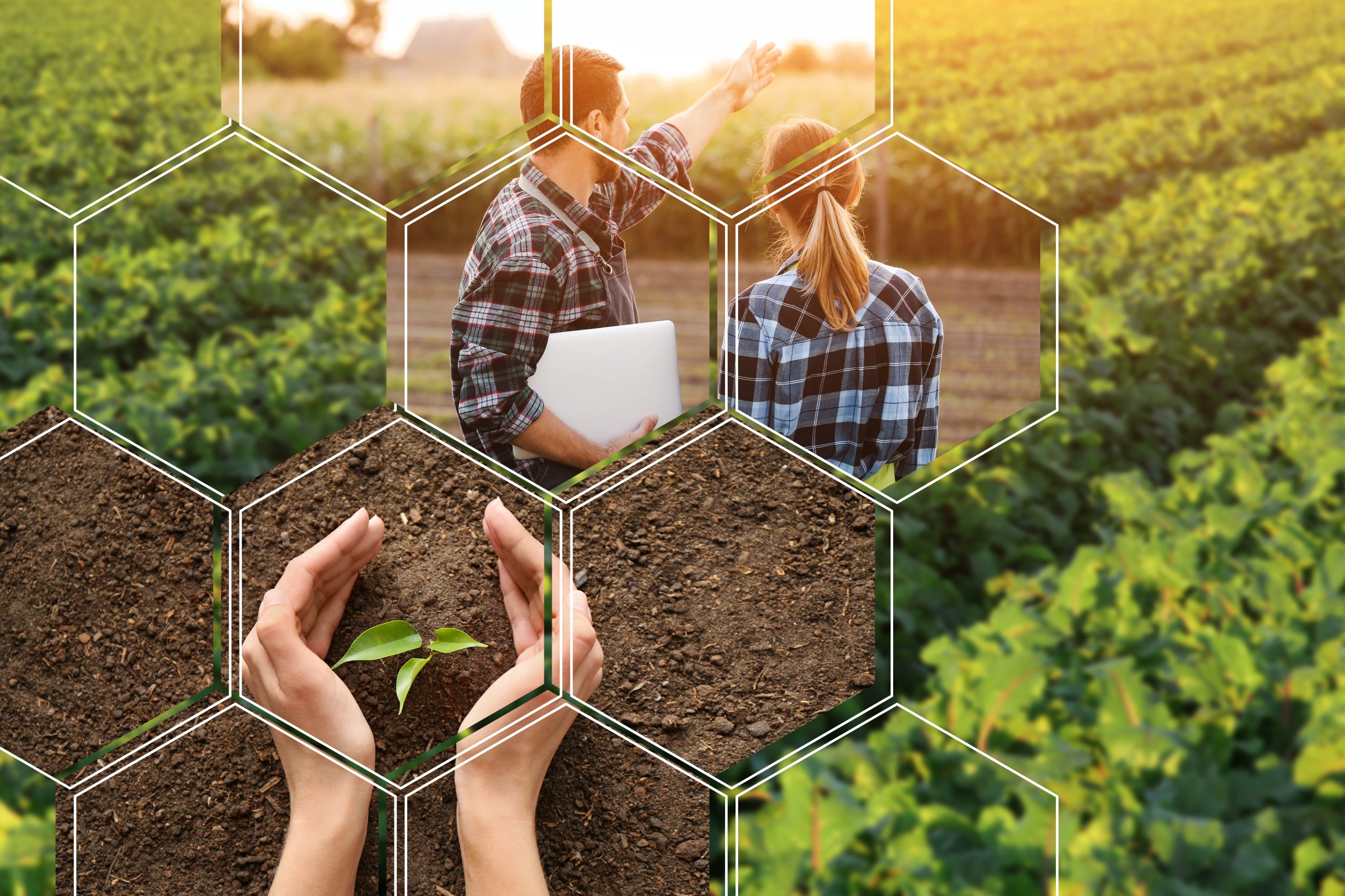LAK WEBINAR Künstliche Intelligenz in der Landwirtschaft